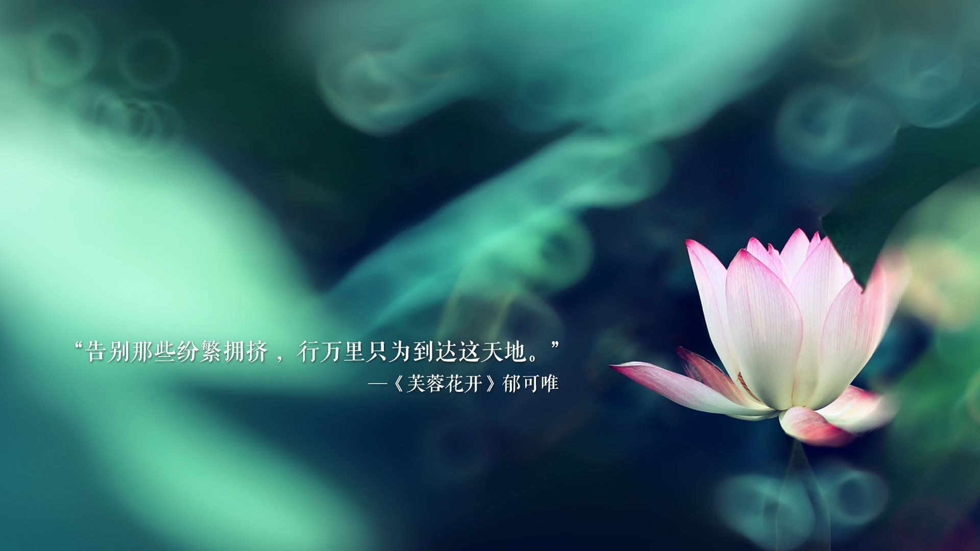 随机Aster新赛季宣传片发布，aster战队最新成员2020
