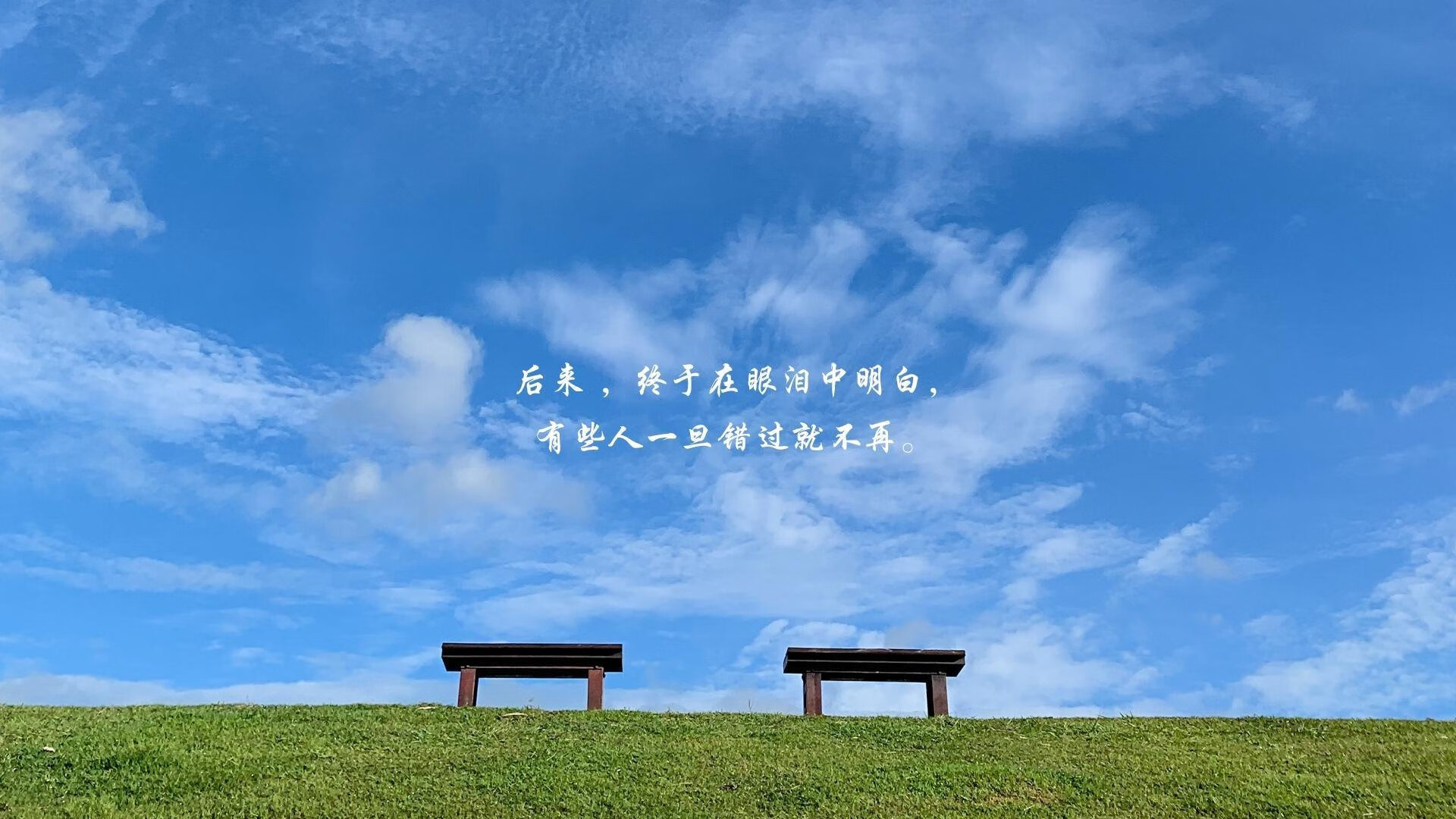 随机勒沃库森客场失利，陷入连败泥沼，勒沃库森lg