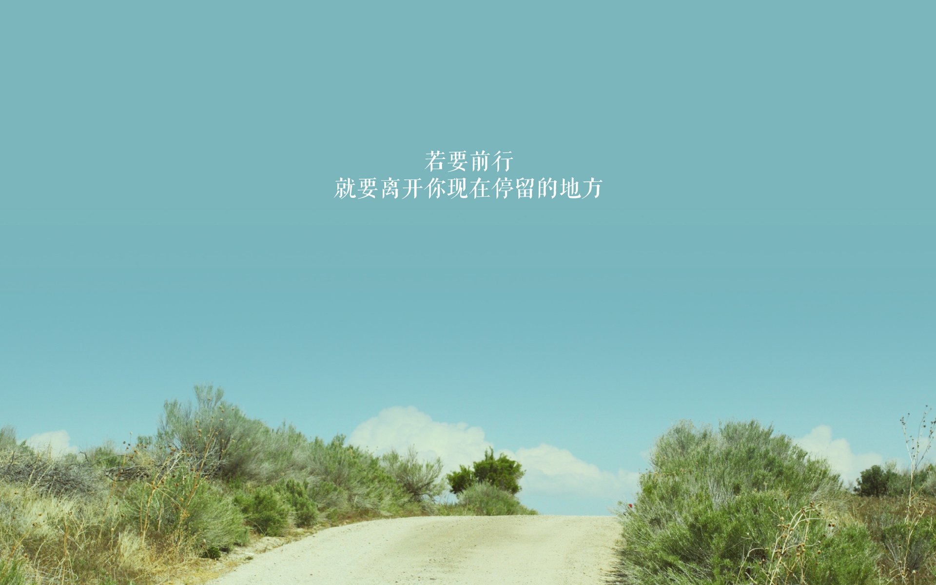 JIUYOU GAMING-加拿大队的崛起之路:如何在未来五年内成为世界强队,加拿大队首发